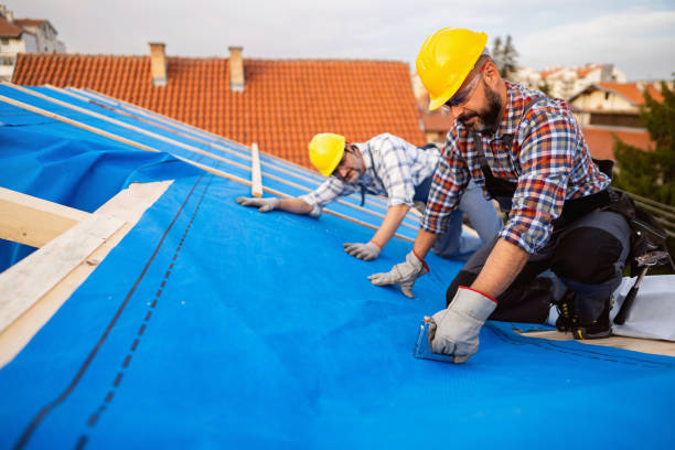 Steel Roofing in Miles, TX